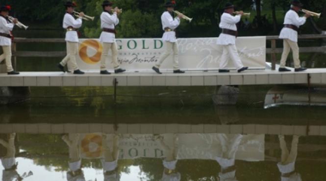 muzica traditionala leac pentru suflet