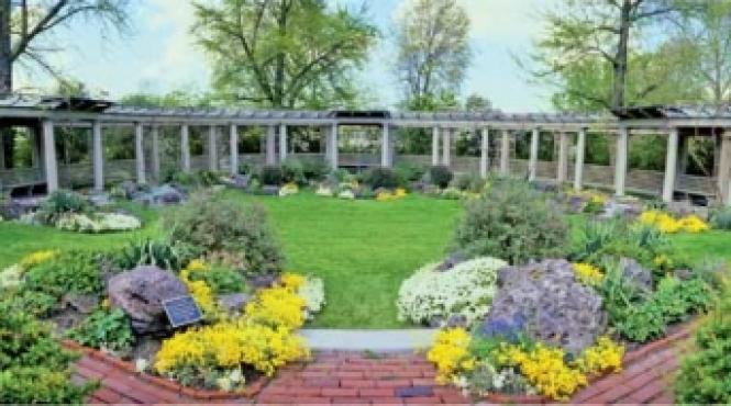 gradina de piatra pas cu pas