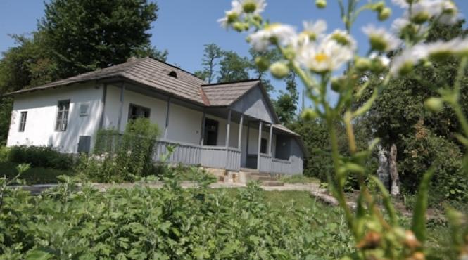 copilul minune de la liveni