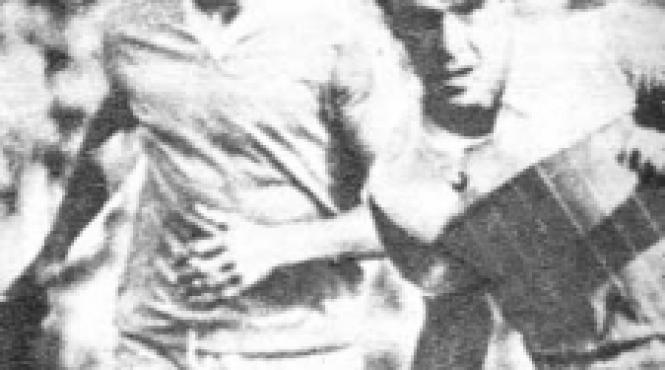 dinamo tot in umbra stelei