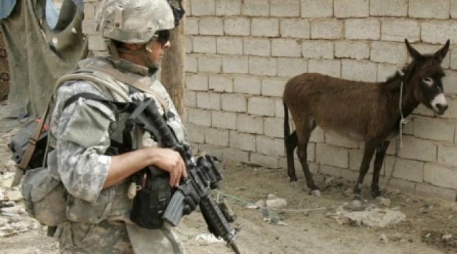 mii de magari mobilizati pentru alegerile din afganistan