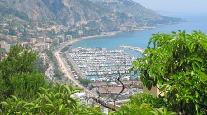 citadela citronierilor