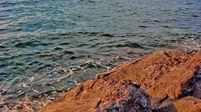 sapte minuni ale naturii