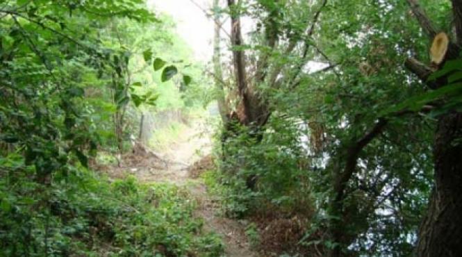 drum ilegal pe malul lacului