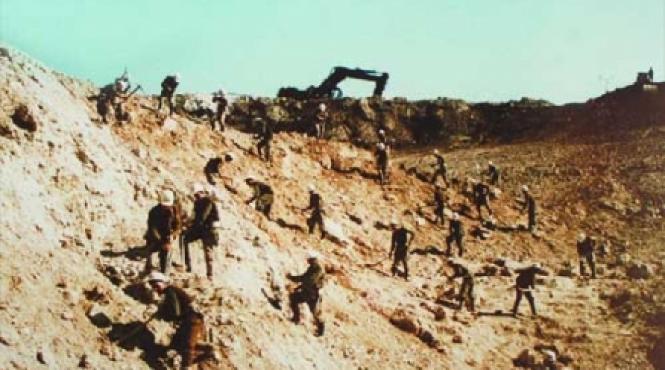 istorii cu brigadieri