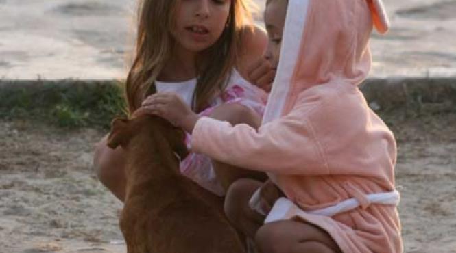 anonimul bach si film