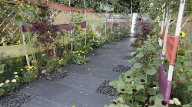 o gradina colorata in orice anotimp cu buget redus si usor de intretinut