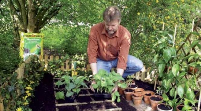 inovatii remarcabile destinate celor care cultiva legume