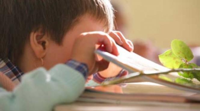 cine decide cand incepe scoala