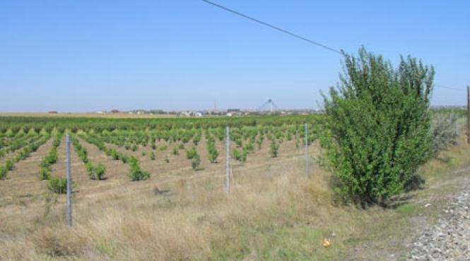 fratele presedintelui si a facut bine lectiile