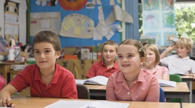 virusul a h1n1 bland dar iute