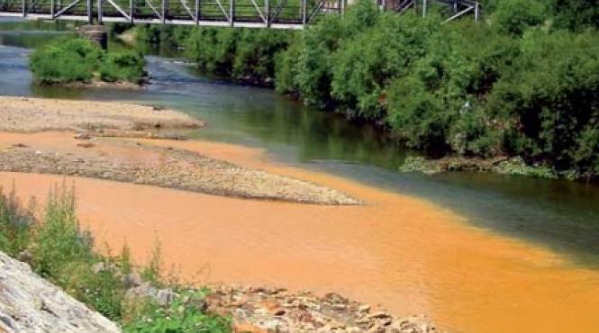 rosia montana investitii de aur