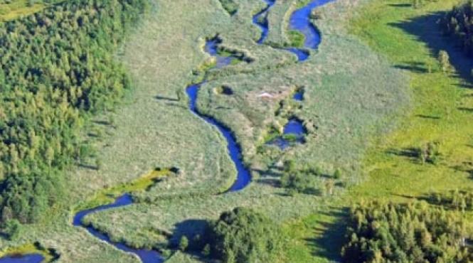 proiecte daunatoare mediului anulate de criza