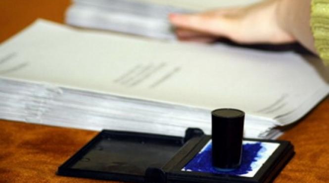 mai vrea stampile de vot personalizate si camere web la sectiile de votare