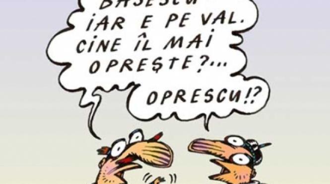 chestii socoteli