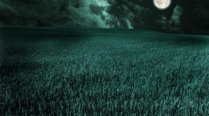 morcovul de al doilea patrar