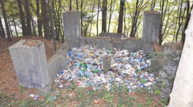 peturile si gunoaiele stirbesc frumusetea cetatii poienari