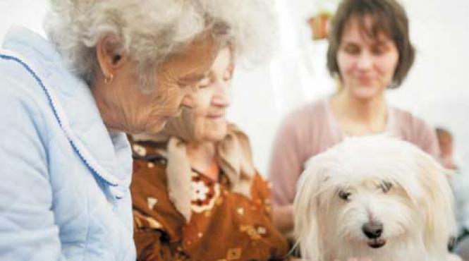 bonjuk i a invatat pe batrani sa zambeasca din nou