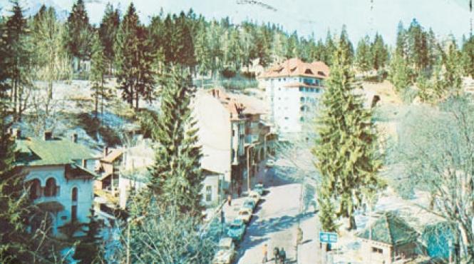 vedere din provincia domnului trandafir