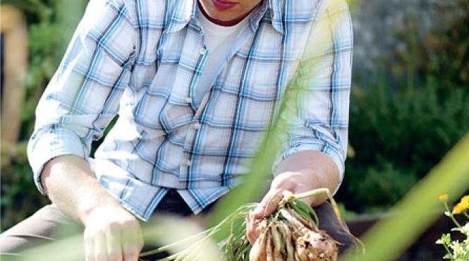 din bucatarie cu dragoste