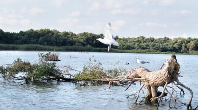 arheologie culinara la gurile dunarii