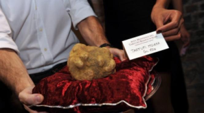 o suta de mii de euro dati pentru o trufa alba