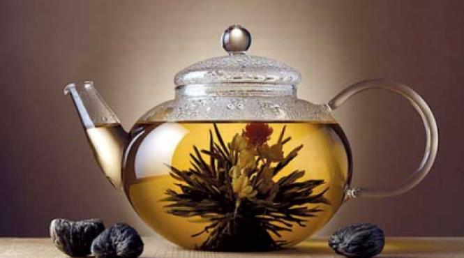 plante pentru intarirea sistemului imunitar