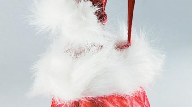 prajitura pitipoancelor