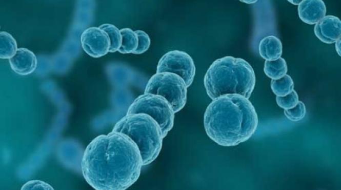 accidentul vascular cerebral rolul infectiilor