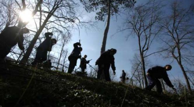 stop defrisarilor 2 milioane de euro pentru cadastrul verde