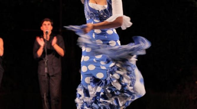 flamenco de calitate