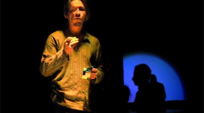 zapada si ace de brad