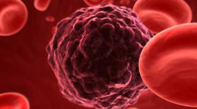o gena care lupta contra cancerului