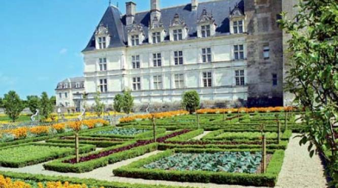 castelul si gradina villandry