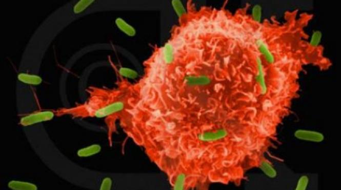 cine ne protejeaza de cancer