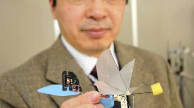 robot colibri