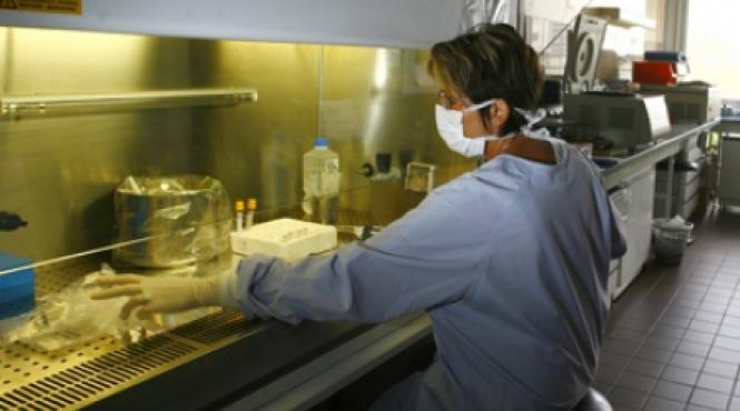 va fi testat primul vaccin contra leucemiei