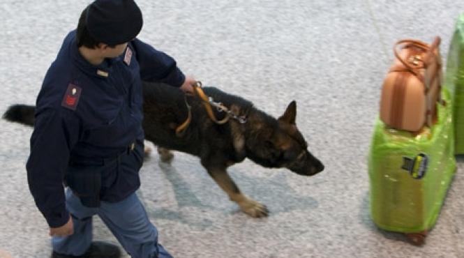 2010 sub semnul terorii