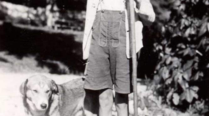 in calea codrului sta basmul padurii