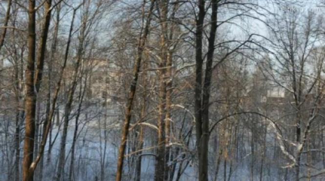 video un an in 120 de secunde