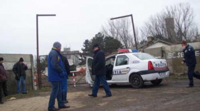 cai de rasa infometati