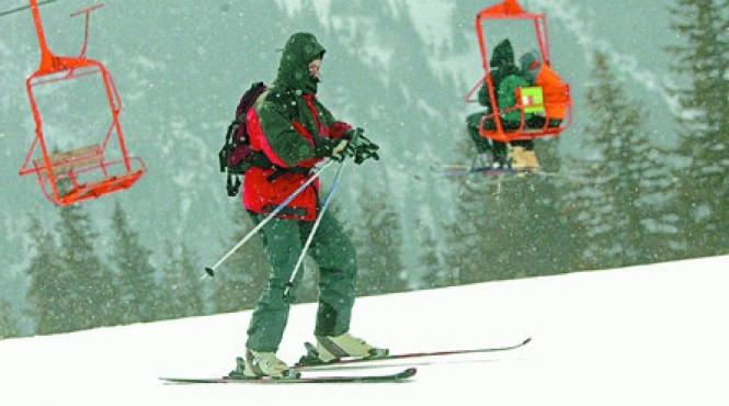 inca o palma de zapada