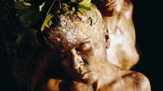 ascetul de sub paturica pacatoasa