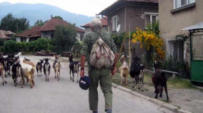 munca in vest distruge familii in est