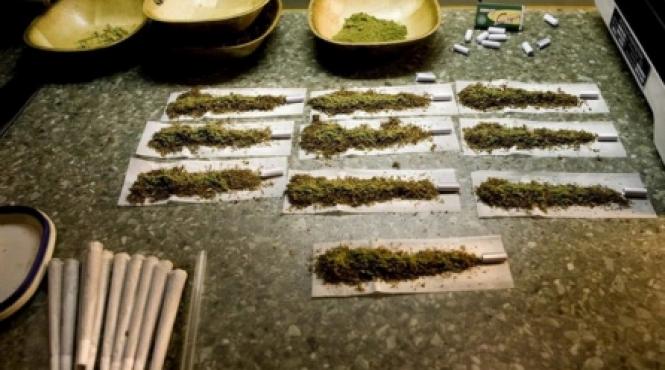 adio plante halucinogene