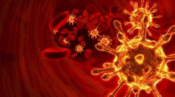 molecula antivirusuri