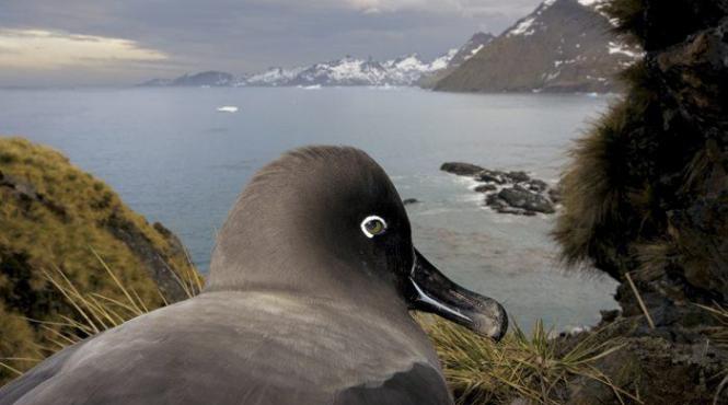 world press photo 2010