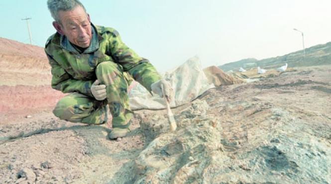 orasul dinozaurilor un disneyland in devenire