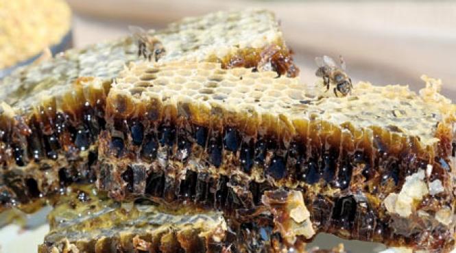 un targ dulce ca mierea