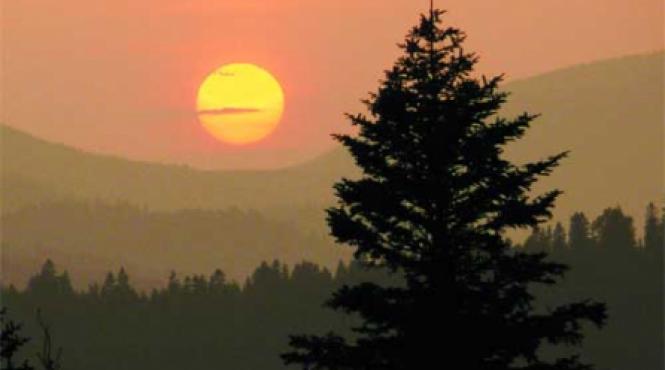 terra trofeul unor infractori onorabili